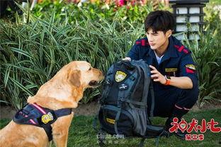 神犬小七3电视剧全集,忠诚守护，再续传奇之旅